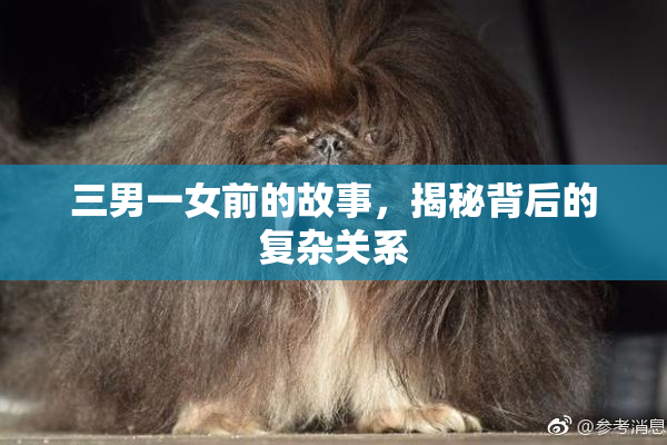 三男一女前的故事，揭秘背后的复杂关系