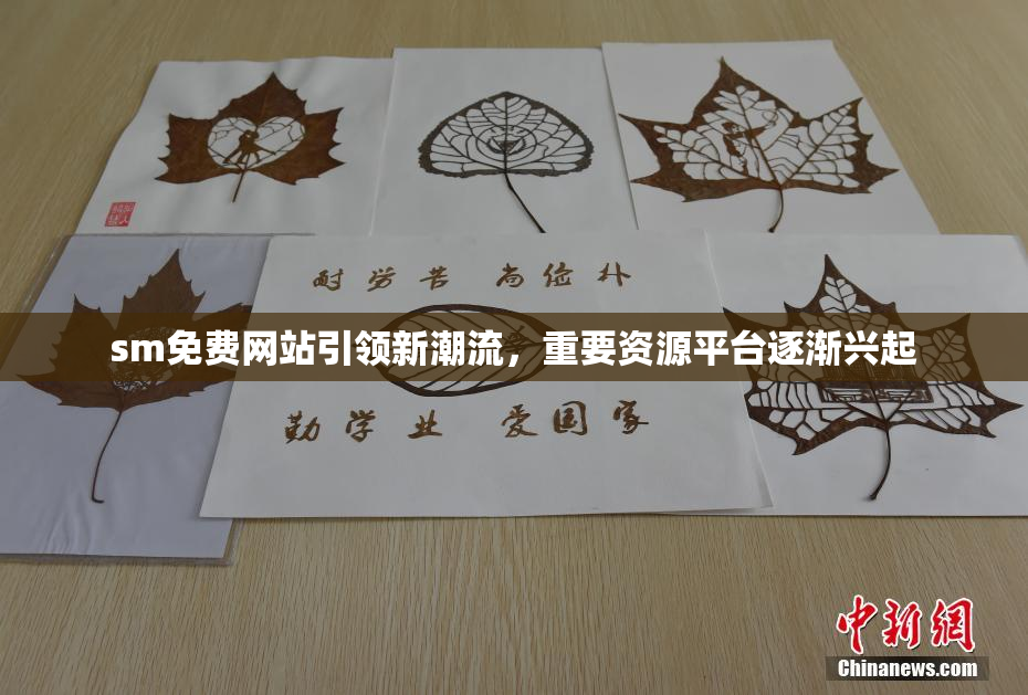 sm免费网站引领新潮流，重要资源平台逐渐兴起