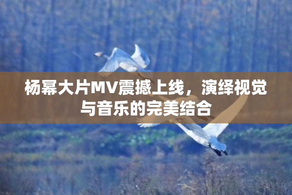 杨幂大片MV震撼上线，演绎视觉与音乐的完美结合
