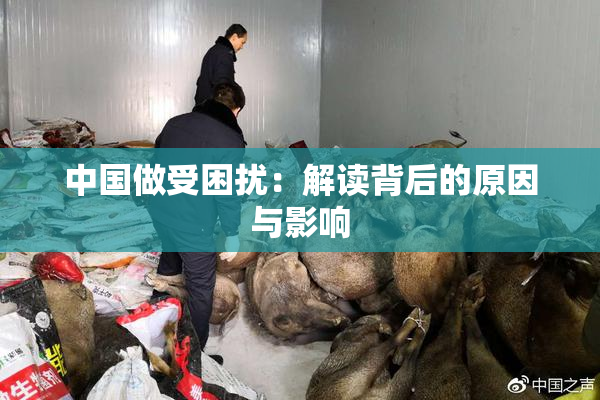 中国做受困扰：解读背后的原因与影响