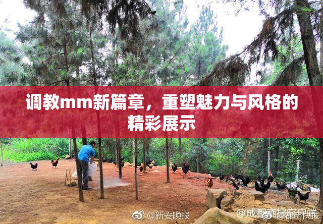 调教mm新篇章，重塑魅力与风格的精彩展示