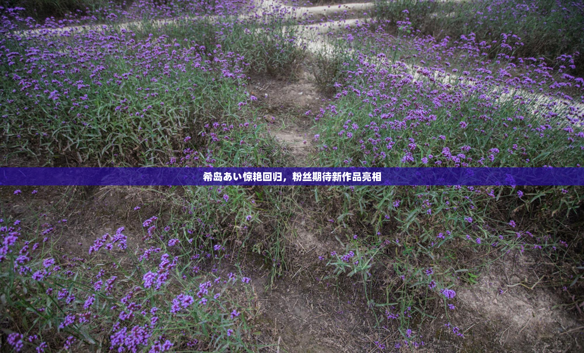 希岛あい惊艳回归，粉丝期待新作品亮相