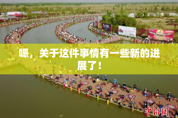 嗯，关于这件事情有一些新的进展了！