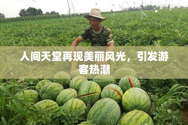 人间天堂再现美丽风光，引发游客热潮
