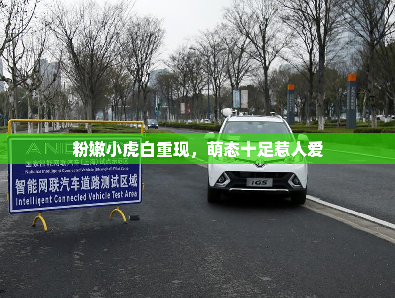 粉嫩小虎白重现，萌态十足惹人爱