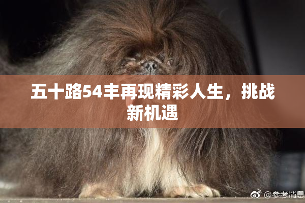 五十路54丰再现精彩人生，挑战新机遇