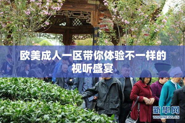 欧美成人一区带你体验不一样的视听盛宴