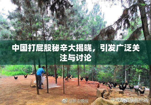 中国打屁股秘辛大揭晓，引发广泛关注与讨论