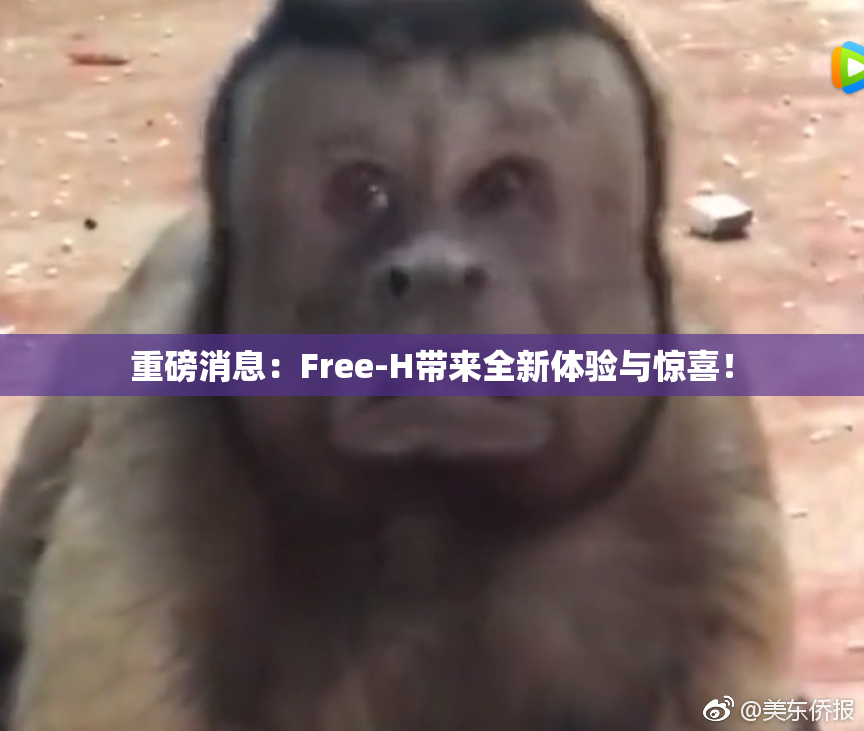 重磅消息：Free-H带来全新体验与惊喜！