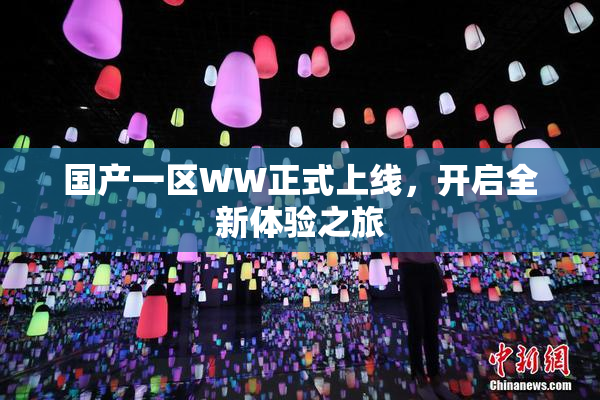 国产一区WW正式上线，开启全新体验之旅