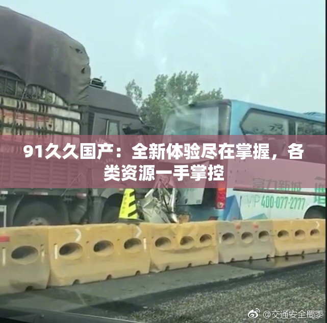 91久久国产：全新体验尽在掌握，各类资源一手掌控