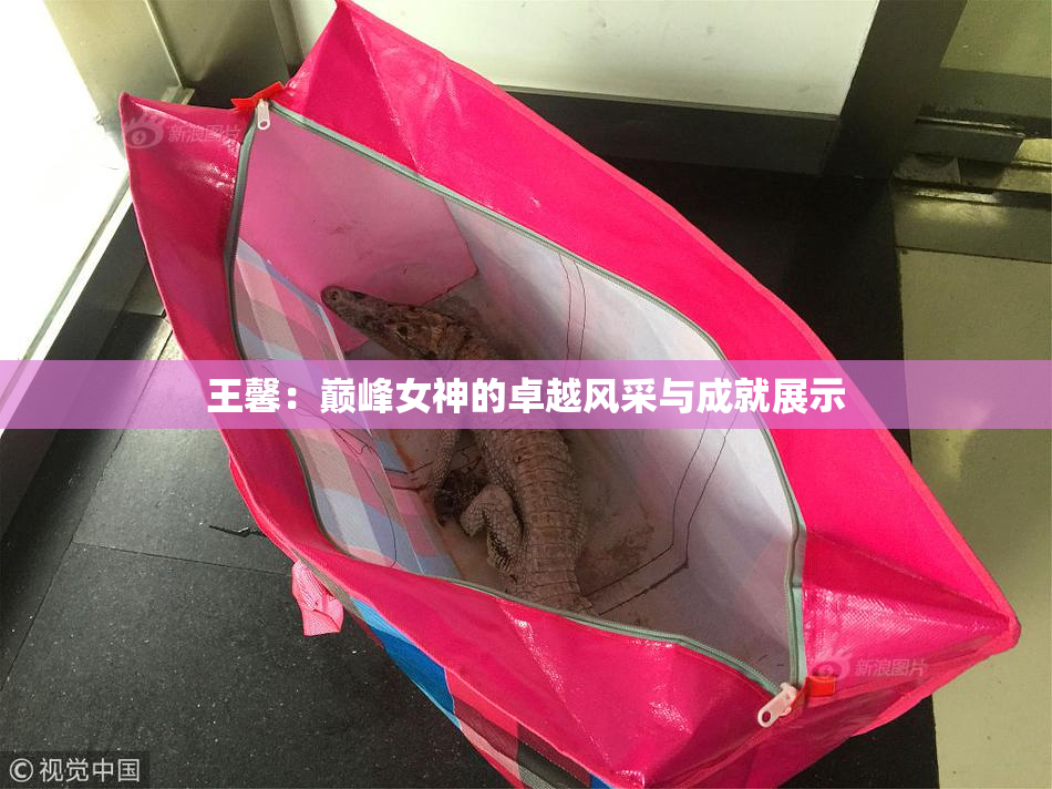 王馨：巅峰女神的卓越风采与成就展示