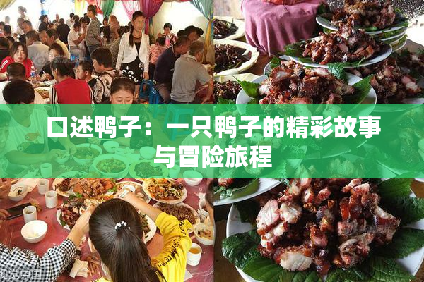 口述鸭子：一只鸭子的精彩故事与冒险旅程