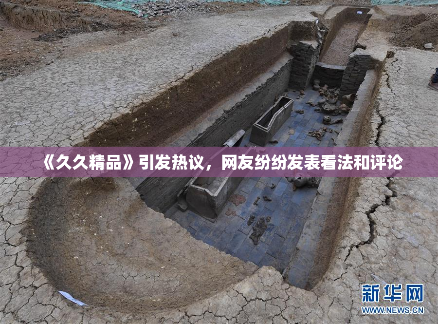 《久久精品》引发热议，网友纷纷发表看法和评论