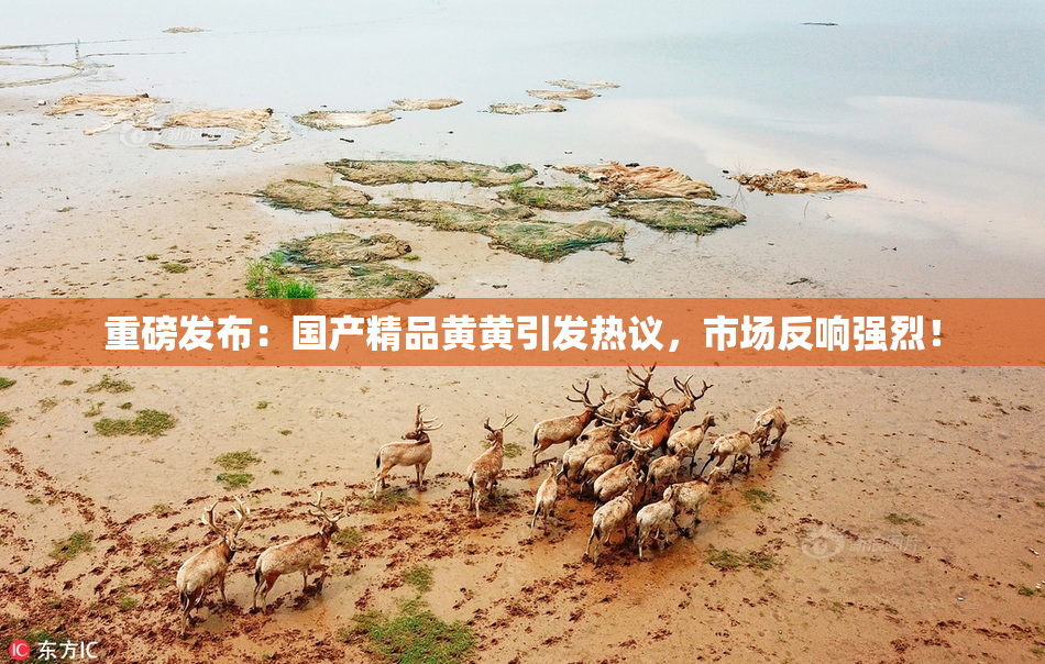 重磅发布：国产精品黄黄引发热议，市场反响强烈！