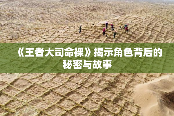 《王者大司命裸》揭示角色背后的秘密与故事