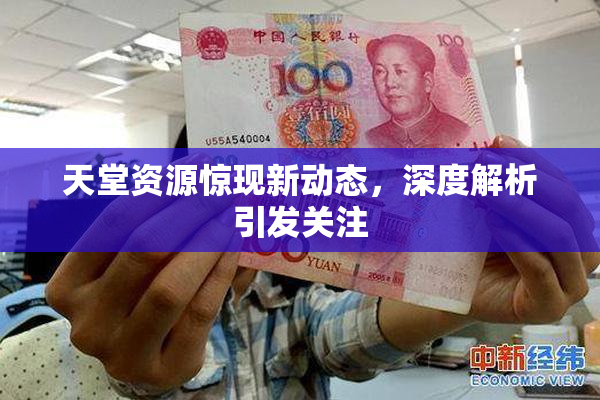 天堂资源惊现新动态，深度解析引发关注