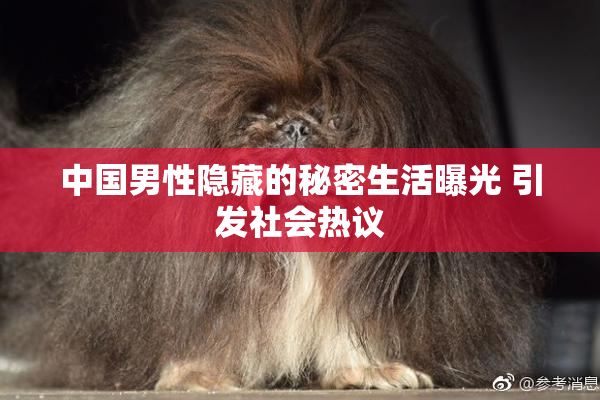 中国男性隐藏的秘密生活曝光 引发社会热议