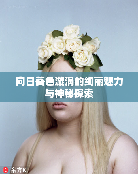 向日葵色漩涡的绚丽魅力与神秘探索