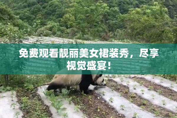 免费观看靓丽美女裙装秀，尽享视觉盛宴！