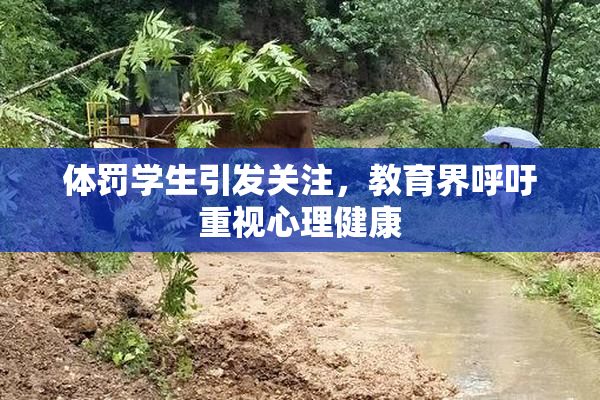 体罚学生引发关注，教育界呼吁重视心理健康