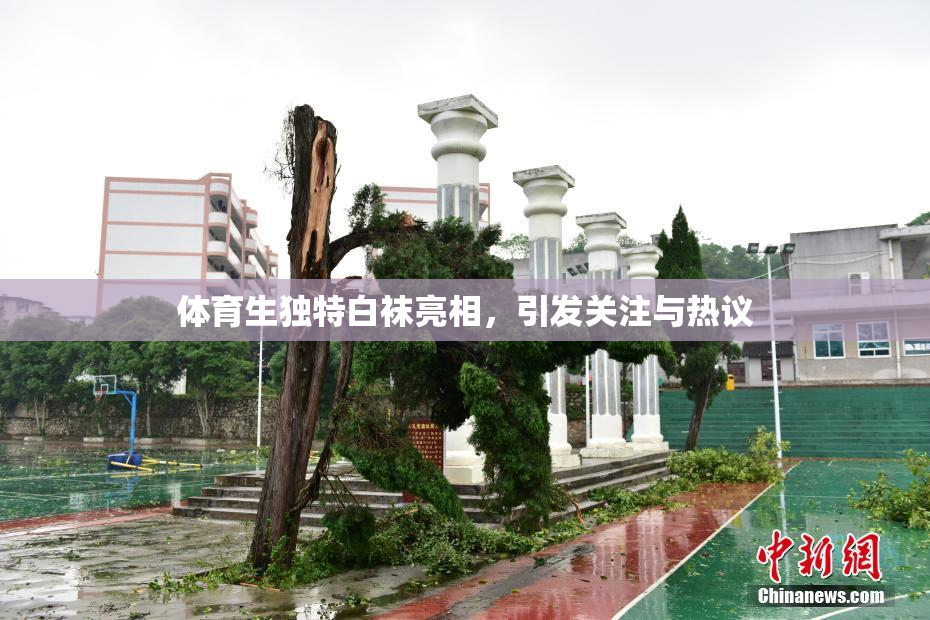 体育生独特白袜亮相，引发关注与热议