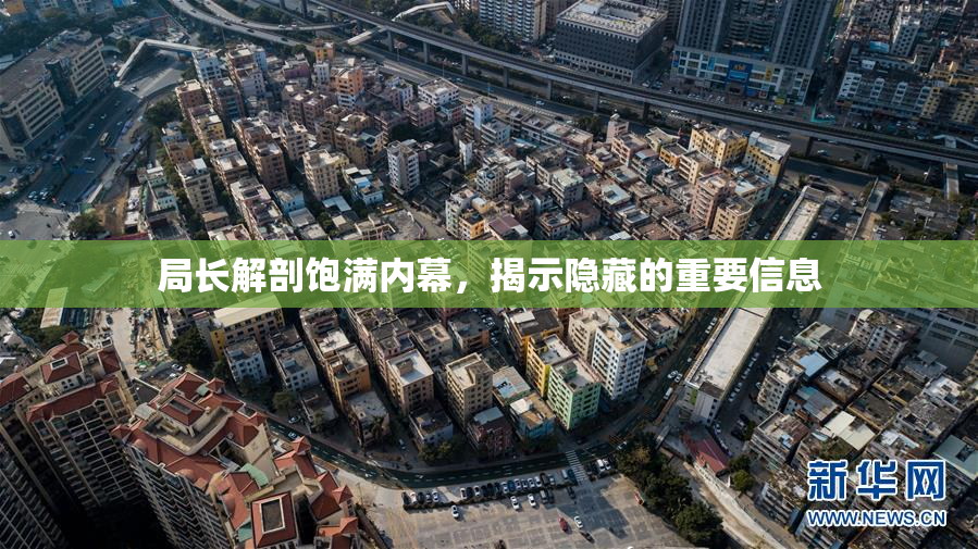 局长解剖饱满内幕，揭示隐藏的重要信息