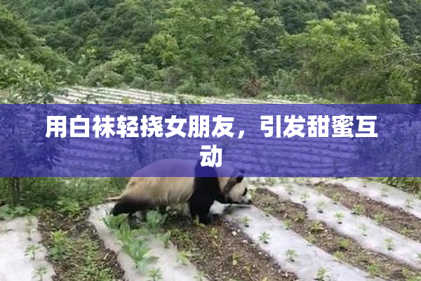 用白袜轻挠女朋友，引发甜蜜互动