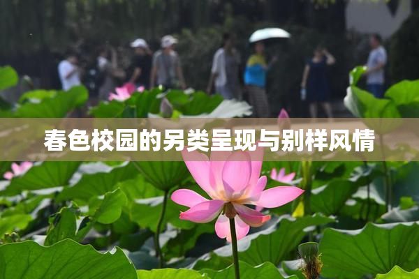 春色校园的另类呈现与别样风情