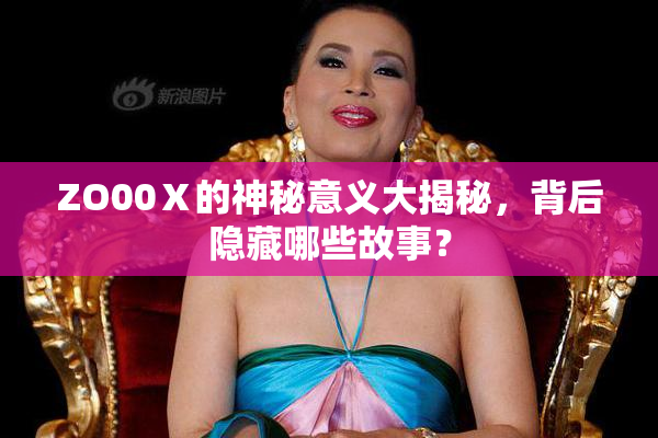 ZO00Ⅹ的神秘意义大揭秘，背后隐藏哪些故事？