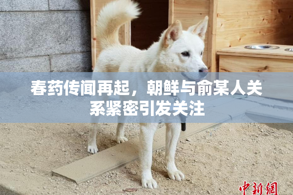 春药传闻再起，朝鲜与俞某人关系紧密引发关注