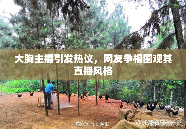 大胸主播引发热议，网友争相围观其直播风格