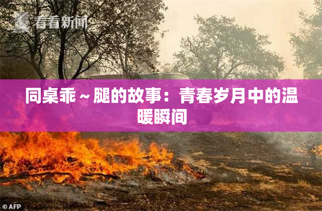 同桌乖～腿的故事：青春岁月中的温暖瞬间