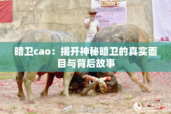 暗卫cao：揭开神秘暗卫的真实面目与背后故事