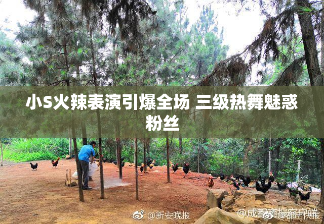 小S火辣表演引爆全场 三级热舞魅惑粉丝