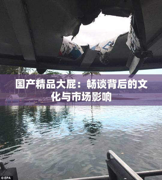 国产精品大屁：畅谈背后的文化与市场影响