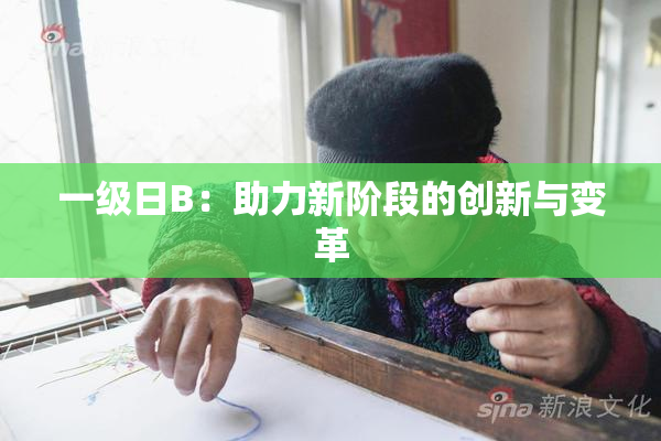 一级日B：助力新阶段的创新与变革