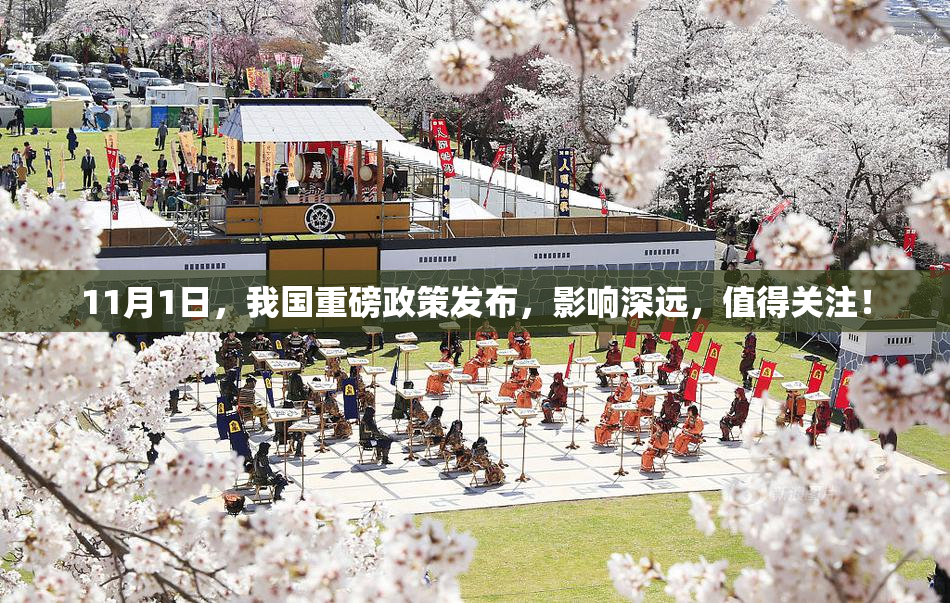 11月1日，我国重磅政策发布，影响深远，值得关注！