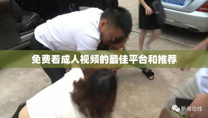 免费看成人视频的最佳平台和推荐