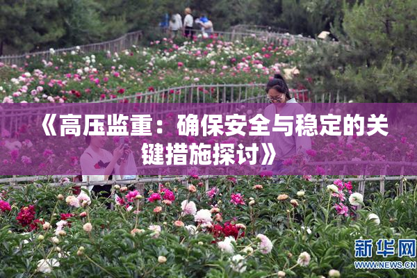 《高压监重：确保安全与稳定的关键措施探讨》