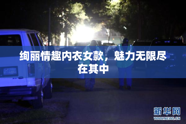绚丽情趣内衣女款，魅力无限尽在其中