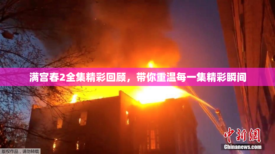 满宫春2全集精彩回顾，带你重温每一集精彩瞬间