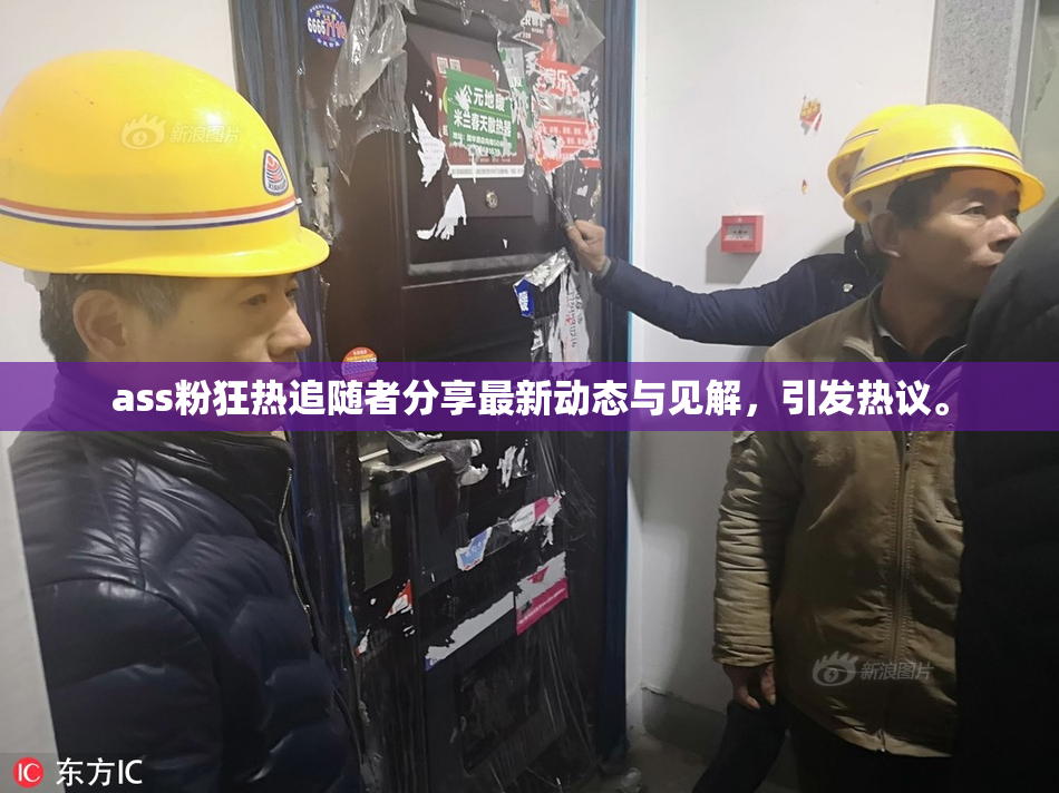 ass粉狂热追随者分享最新动态与见解，引发热议。