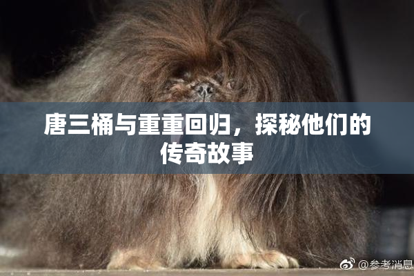 唐三桶与重重回归，探秘他们的传奇故事