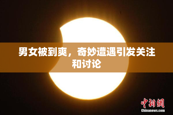 男女被到爽，奇妙遭遇引发关注和讨论