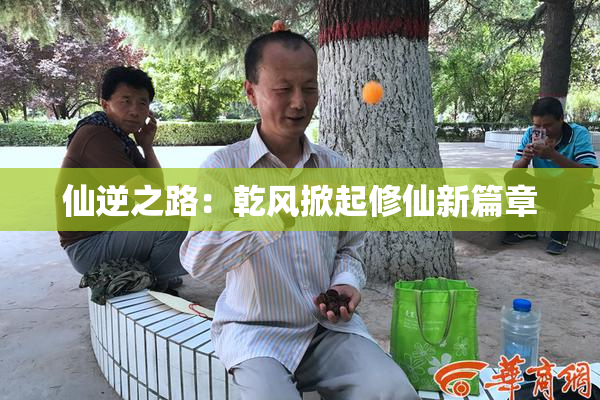 仙逆之路：乾风掀起修仙新篇章