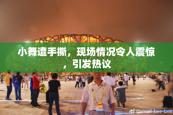小舞遭手撕，现场情况令人震惊，引发热议