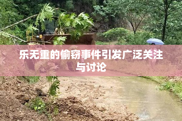 乐无重的偷窃事件引发广泛关注与讨论