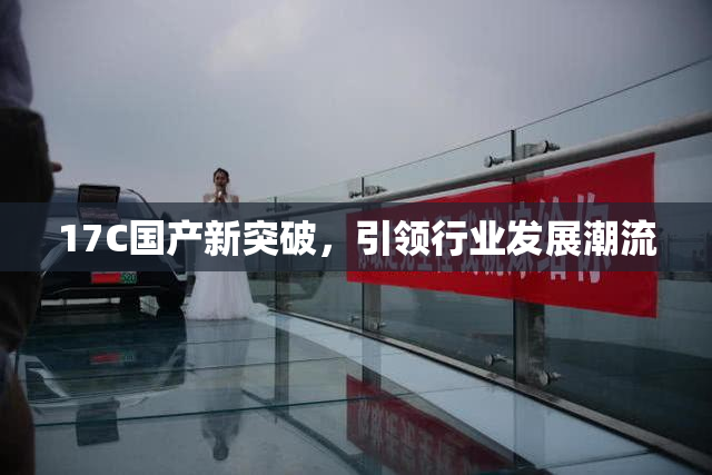 17C国产新突破，引领行业发展潮流