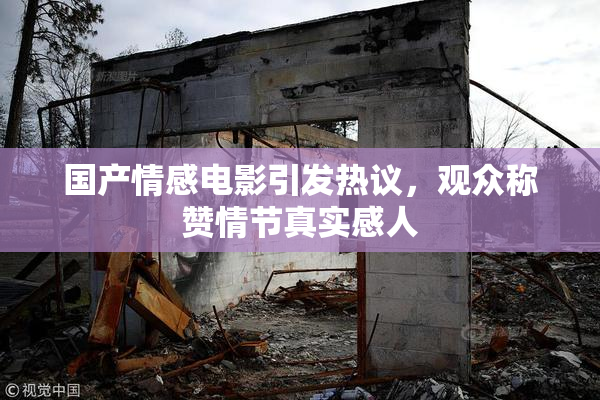 国产情感电影引发热议，观众称赞情节真实感人